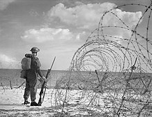 A soldier stood next to barbed war looks out to sea