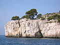 Calanque near Marseille (France)