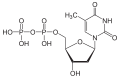 Deutsch: Struktur von Desoxythymidindiphosphat English: Structure of Deoxythymidine diphosphate