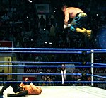 Frog Splash