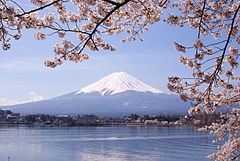 Berg Fuji tijdens de sakura-bloeiperiode