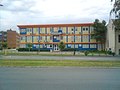Micronas Institute (FTN)