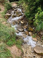 Der Mühlenbach oberhalb des Wasserfalls