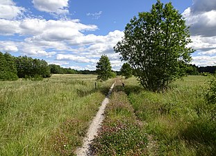 Almnäs gårds gamla allé idag en del av Måsnarenleden