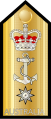 Australian Navy