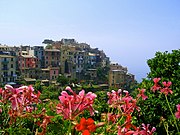 Corniglia