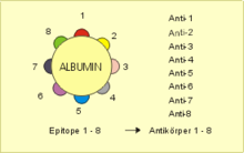 Epitope.png