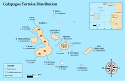 Distribución de todos los taxones de tortugas de las islas Galápagos.