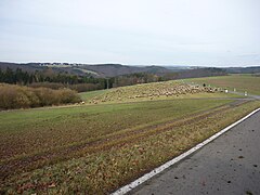 KroppacherSchweiz2009 010.jpg