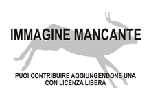 Immagine di Simatherium mancante