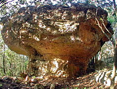 Champignon ou table calcaire : naturel ou construit ? (Blaquières).