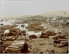 小樽市の港（1909年）