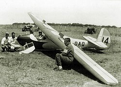 Rhönbussard in Argentinien