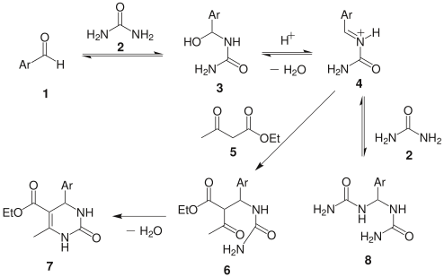 Biginelli reaction mechanism