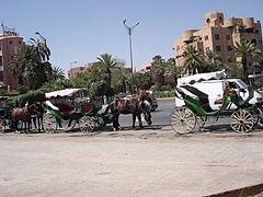 Caleches in Marrakech (2844986617).jpg