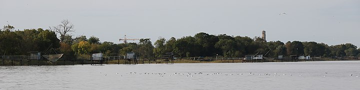 L'estuaire de la Gironde est classé parc naturel marin et appartient au réseau Natura 2000. La rive gauche fait partie du parc naturel régional du Médoc. Couvrant une superficie de 635 km2, c'est le plus vaste estuaire d'Europe[27].