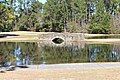 Ponds and bridge