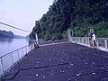 Dead Tisza-ferry at Vezseny