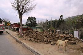 Casa destruida en la comuna de Canela.