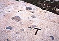 Xenolit di dalam granodiorit dari Alta Stock, Little Cottonwood Canyon, Utah