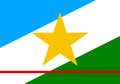 巴西羅賴馬州州旗