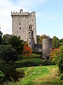 Blarney Castle