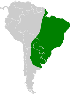 Área de distribuição do Agelaius ruficapillus