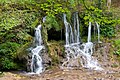 La cascade de Dokuzak près du village de Stoilovo à Malko Tarnovo dans le parc naturel de Strandzha. Mai 2019.