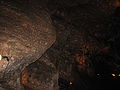 Fossielen in de grot van Han