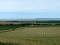 Looking west towards Hoyleton from Mt. George Road