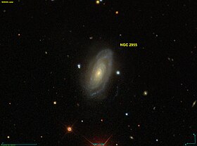 Image illustrative de l’article NGC 2955