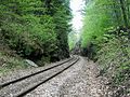 Beim Bau dieses Einschnitts (oder eines ähnlichen in unmittelbarer Nähe) für die Rutland & Burlington Railroad ereignete sich der Unfall