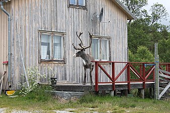 Ren på altan till hus i Mittådalen.