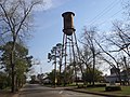 Shellman water tower