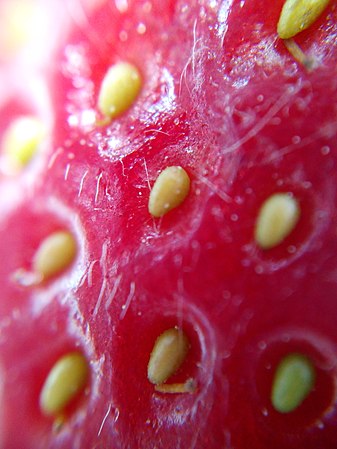 Macro photography technique (↑photo↑ of a strawberry)