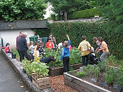 élèves devant un potager.