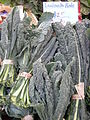 Brassica oleracea var. acephala, il cavolo nero toscano