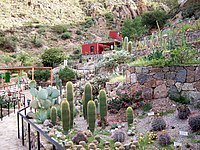 Chirau Mita Botanical Gardens, Chilecito.