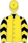 Yellow, black epaulets, chevrons on sleeves