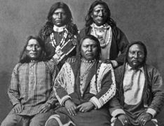 Shoshone group American Indian Mongoloid.png