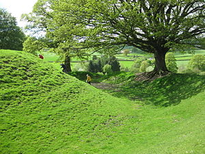 Sycharth, Motte and bank on N side.