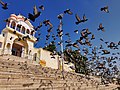 "Temples_Of_Pushkar.jpg" by User:VAIRAGEE ABHILASH