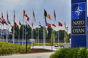 Flags of member states waving at the entrance