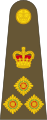 Brigadier British Army