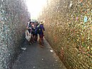 Bubblegum Alley