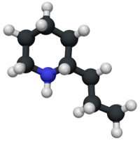 (S)-Coniine