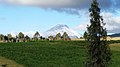 Volcán Cotopaxi manchado de ceniza