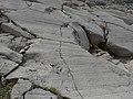 Glacial striation