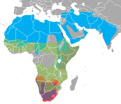 Msambao wa fisi: buluu - H. hyaena kijani - C. crocuta kahawia - H. brunnea nyekundu/zambarau - P. cristata