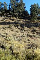 Negative environmental effects caused by motorcycles to a portion of the Los Padres National Forest